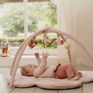 Palestrina morbida – Fairy Garden