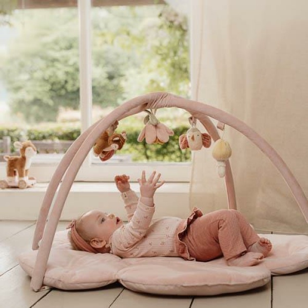 Palestrina morbida – Fairy Garden