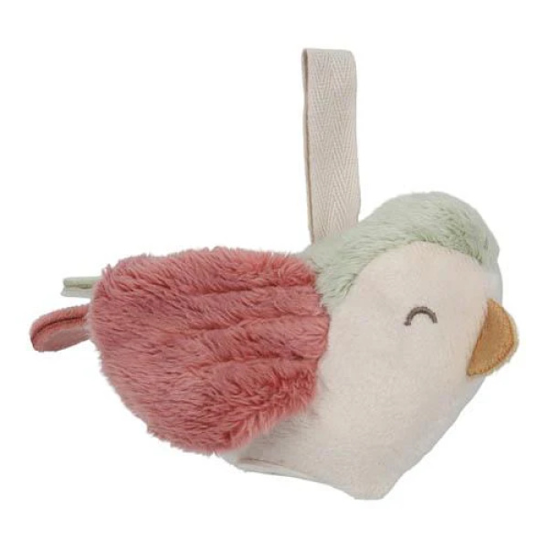 Palestrina morbida – Fairy Garden