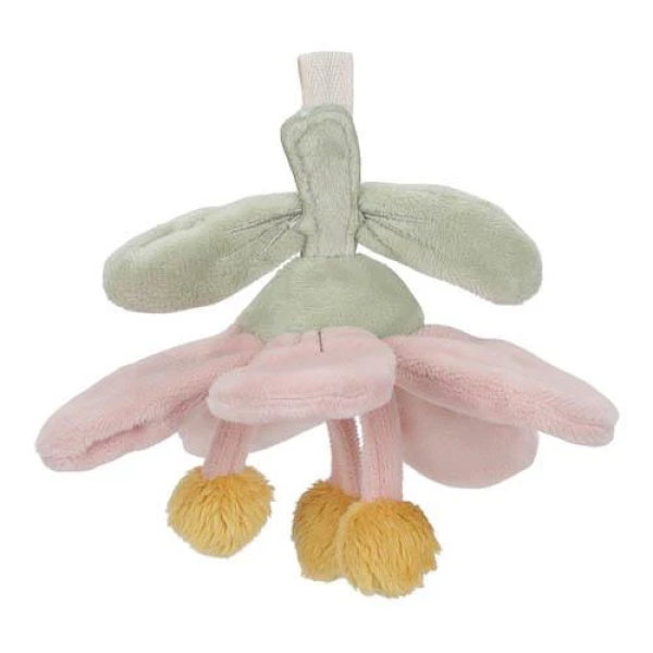 Palestrina morbida – Fairy Garden