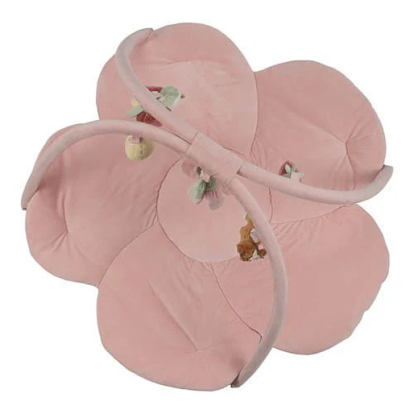 Palestrina morbida – Fairy Garden