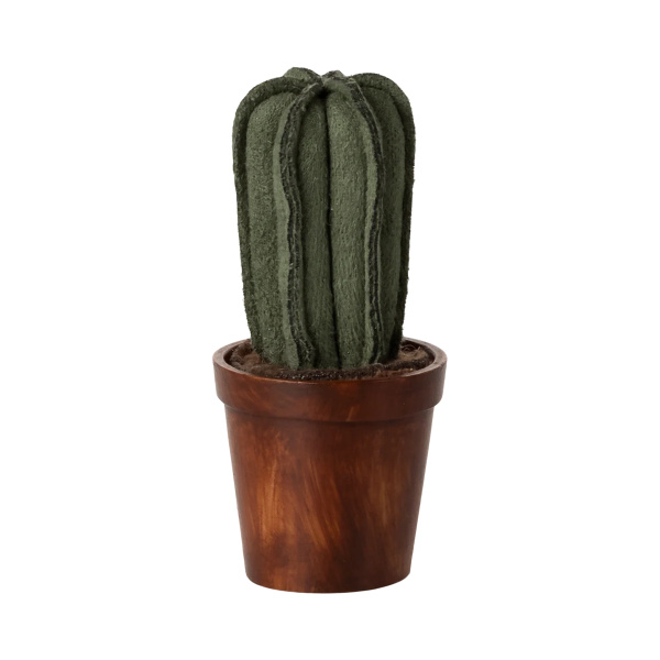 Vaso con cactus