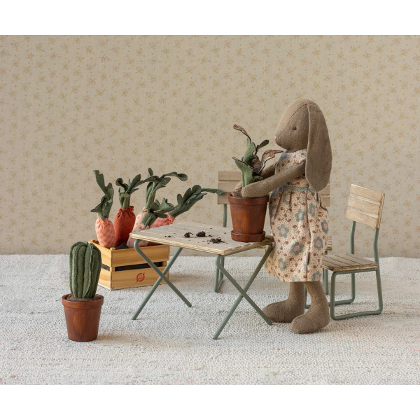 Vaso con cactus