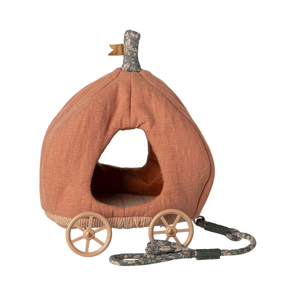 Carrozza zucca per topi