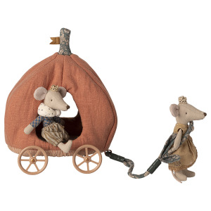 Carrozza zucca per topi