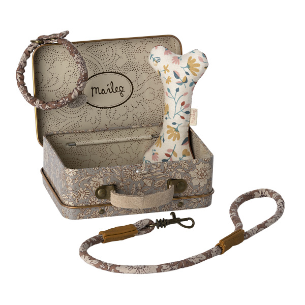 Set con guinzaglio per cuccioli