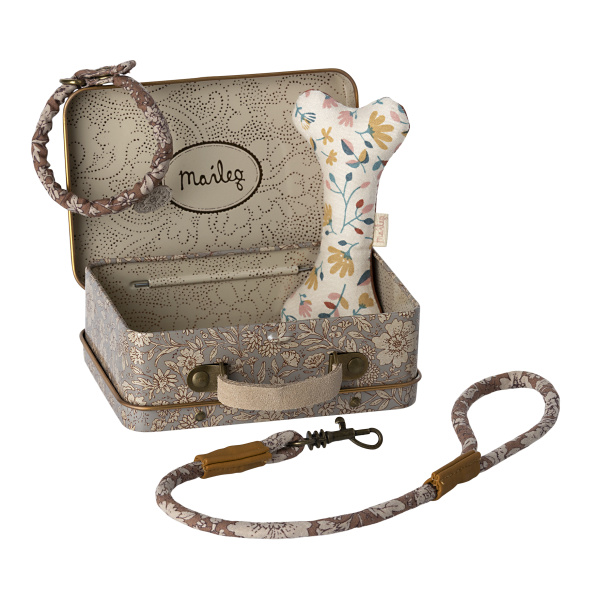 Set con guinzaglio per cuccioli