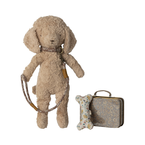 Set con guinzaglio per cuccioli