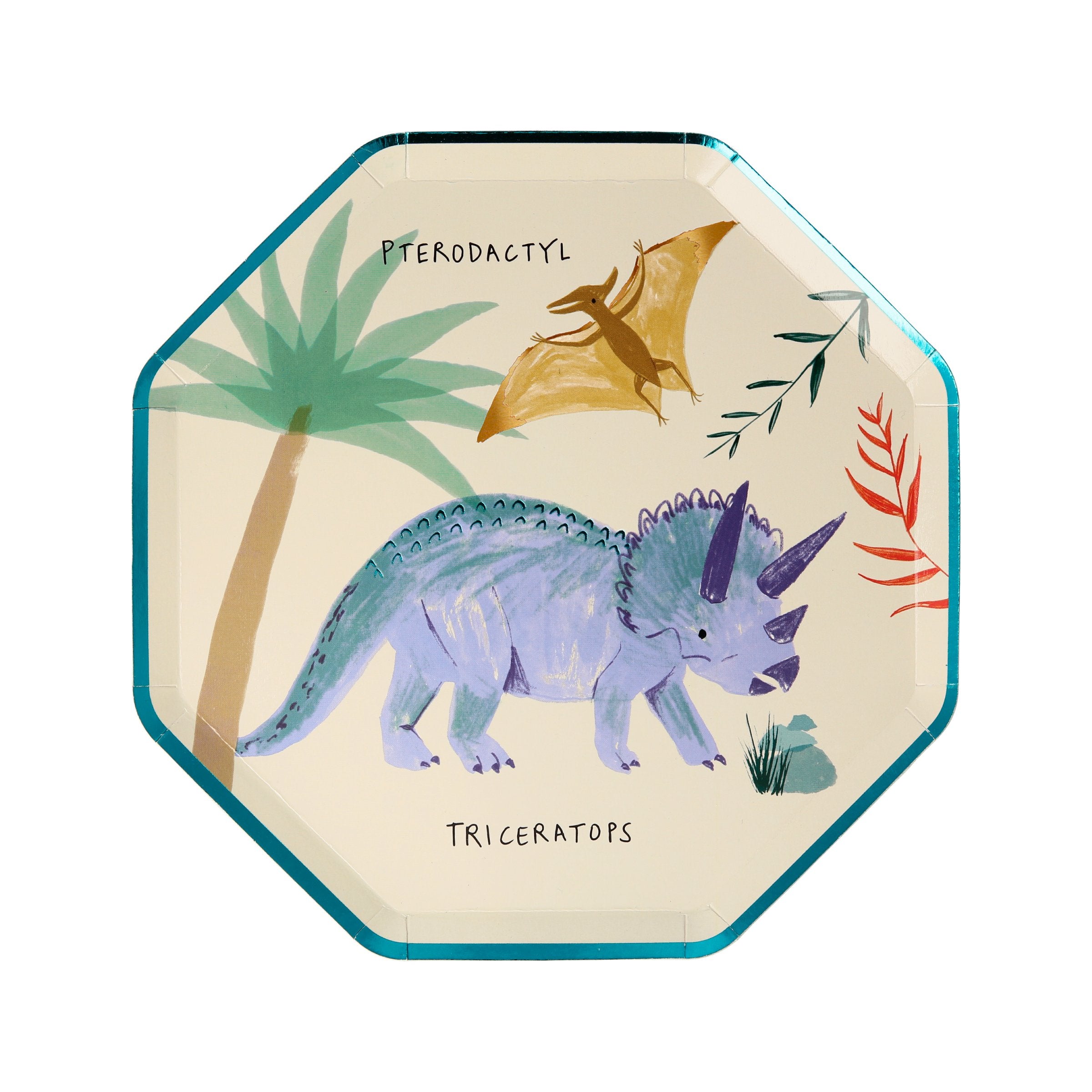 C---meri meri---202877DINOSAUR_3_P.JPG Piatti Kingdom dinosaur