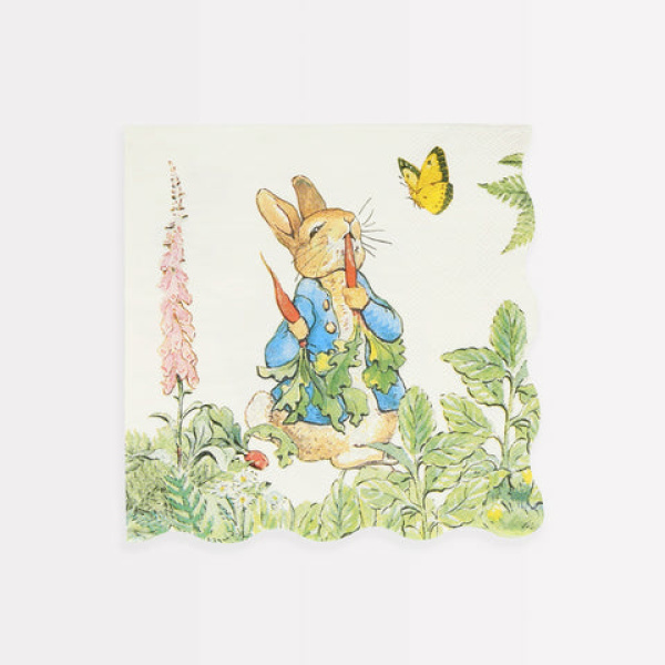 C---meri meri---267160PETER RABBIT.JPG