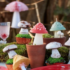 Set candele fungo