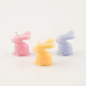 C---meri meri---282462BUNNY_3_P.JPG Candele Conigli colorati