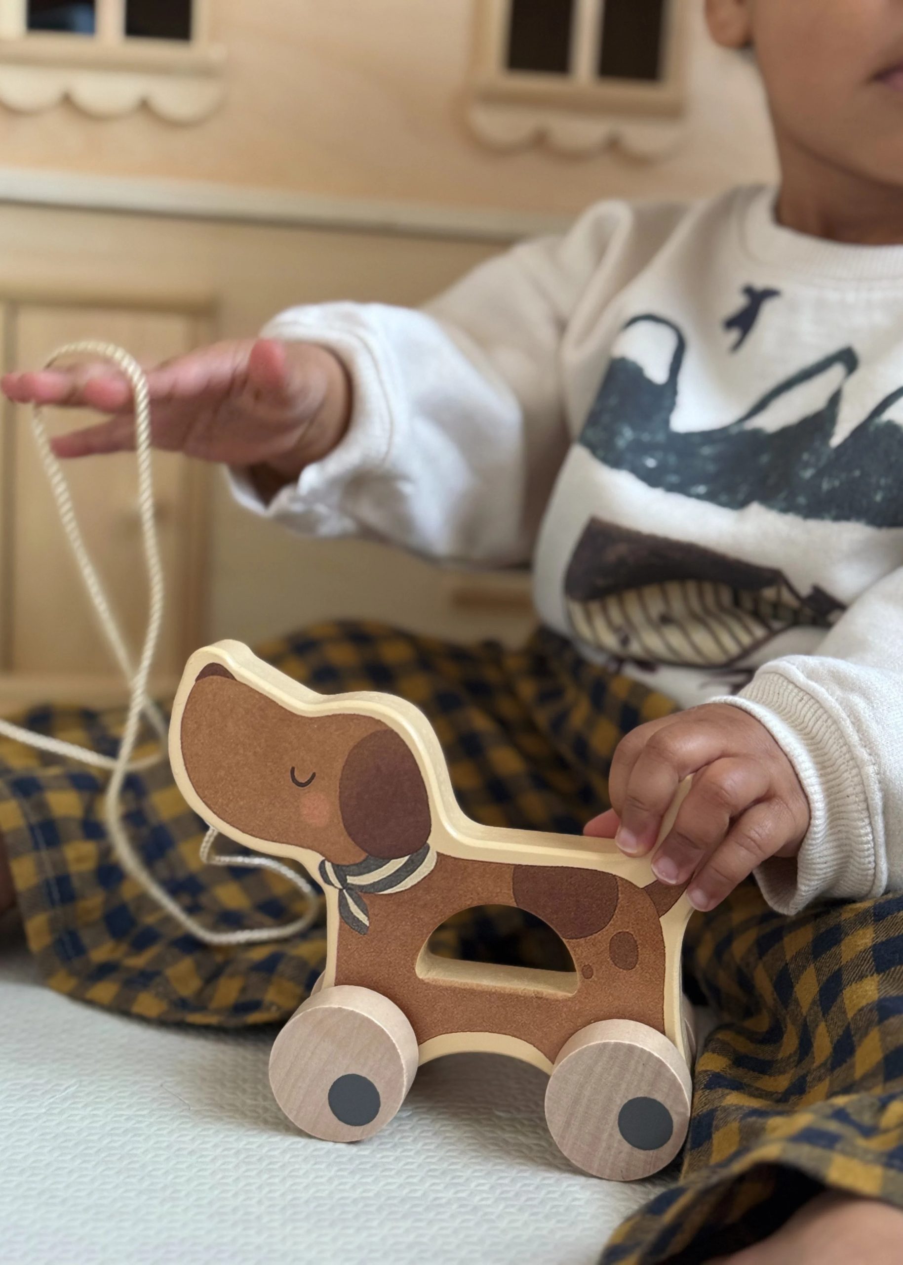 Animaletto in Legno con Ruote