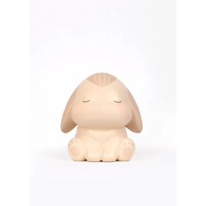 C---mrs ertha---1506BUNBUN.JPG Animaletto Squishy Antistress
