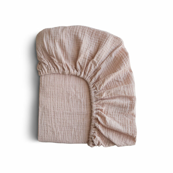 Lenzuolo con angoli 120x60x20