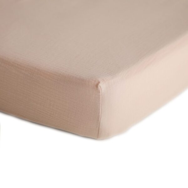 Lenzuolo con angoli 120x60x20