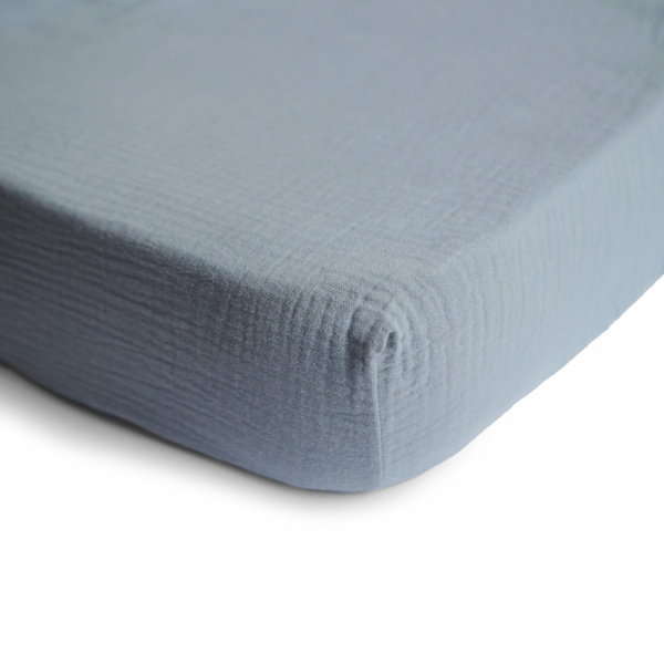 Lenzuolo con angoli 120x60x20