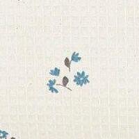 Lily blue