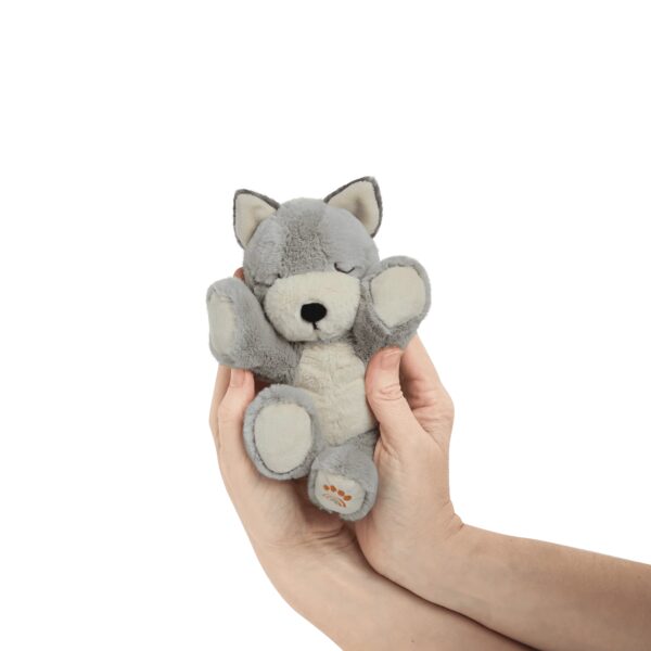 Binky Puppy