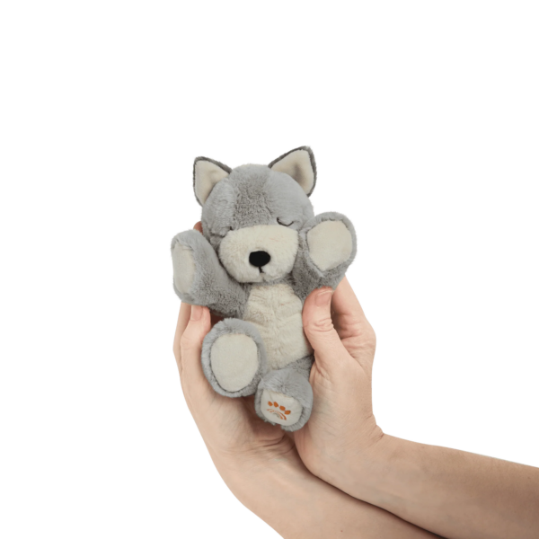 Binky Puppy