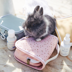 C---olli ella---YA WASH BAGPINK DAISIES_5_P.JPG See-Ya Wash Bag