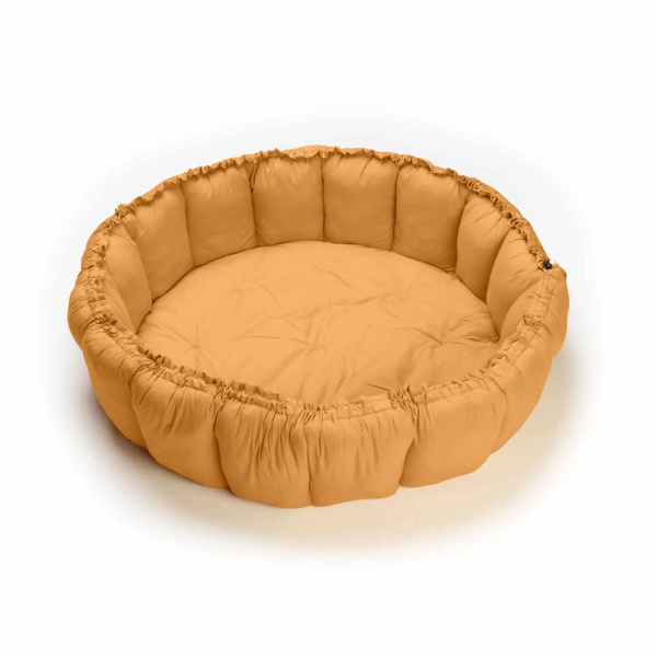 C---play and go---PG100CHAI TEA MUSTARD.JPG
