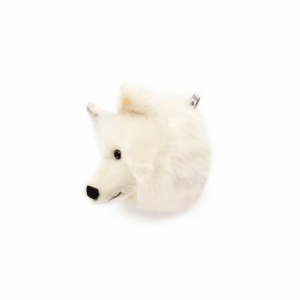 Trofeo lupo bianco