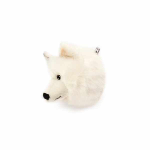 Trofeo lupo bianco