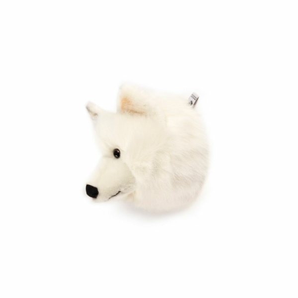 C---wild () soft---WS0601WHITE WOLF_1_P.JPG