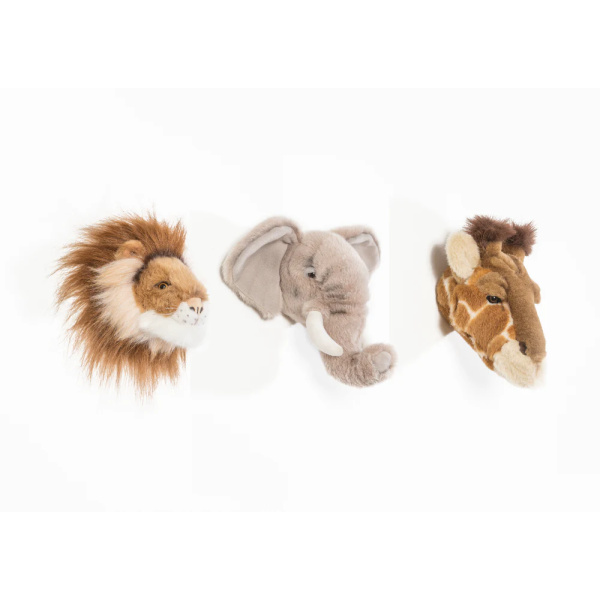 Trofei safari box