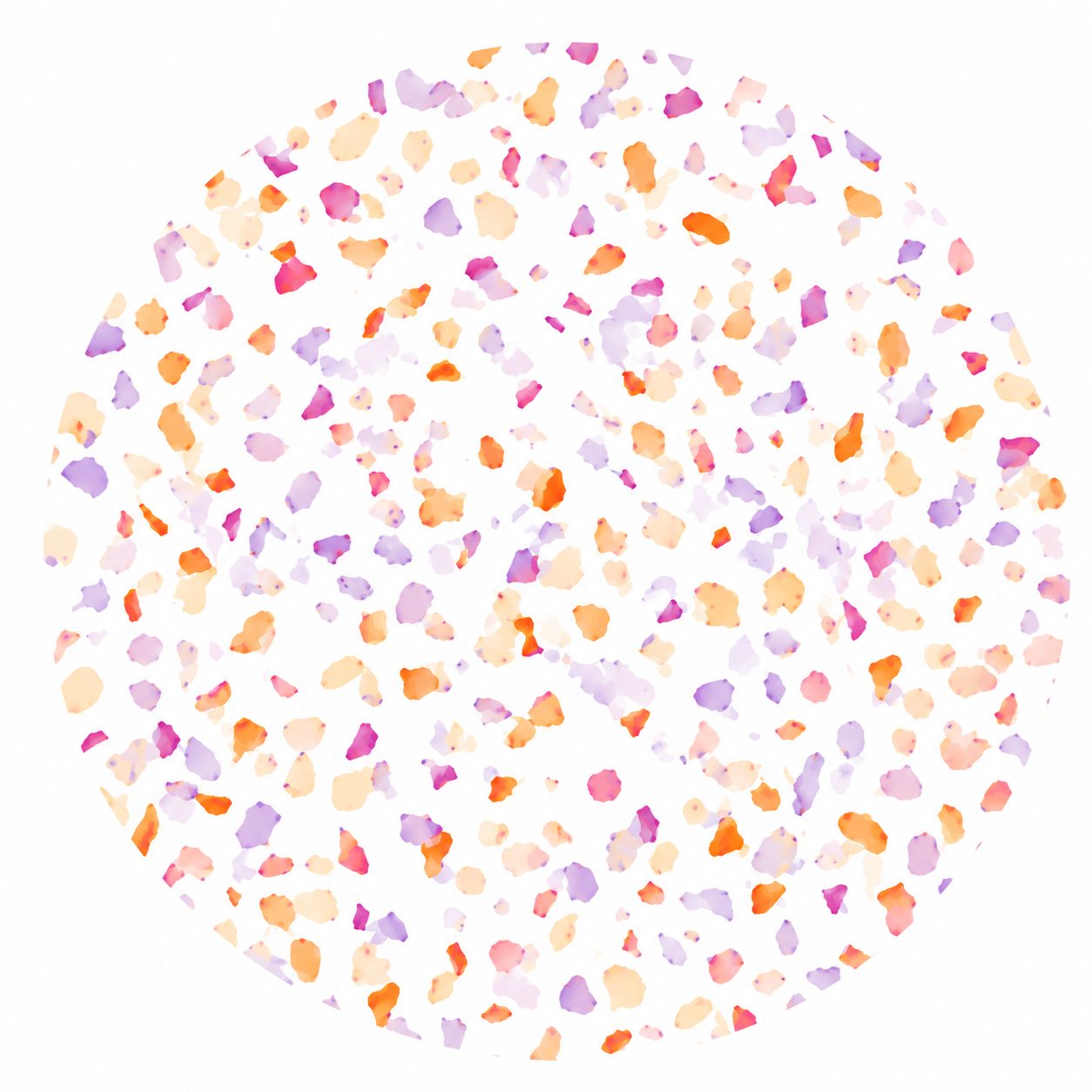 Terrazzo violet