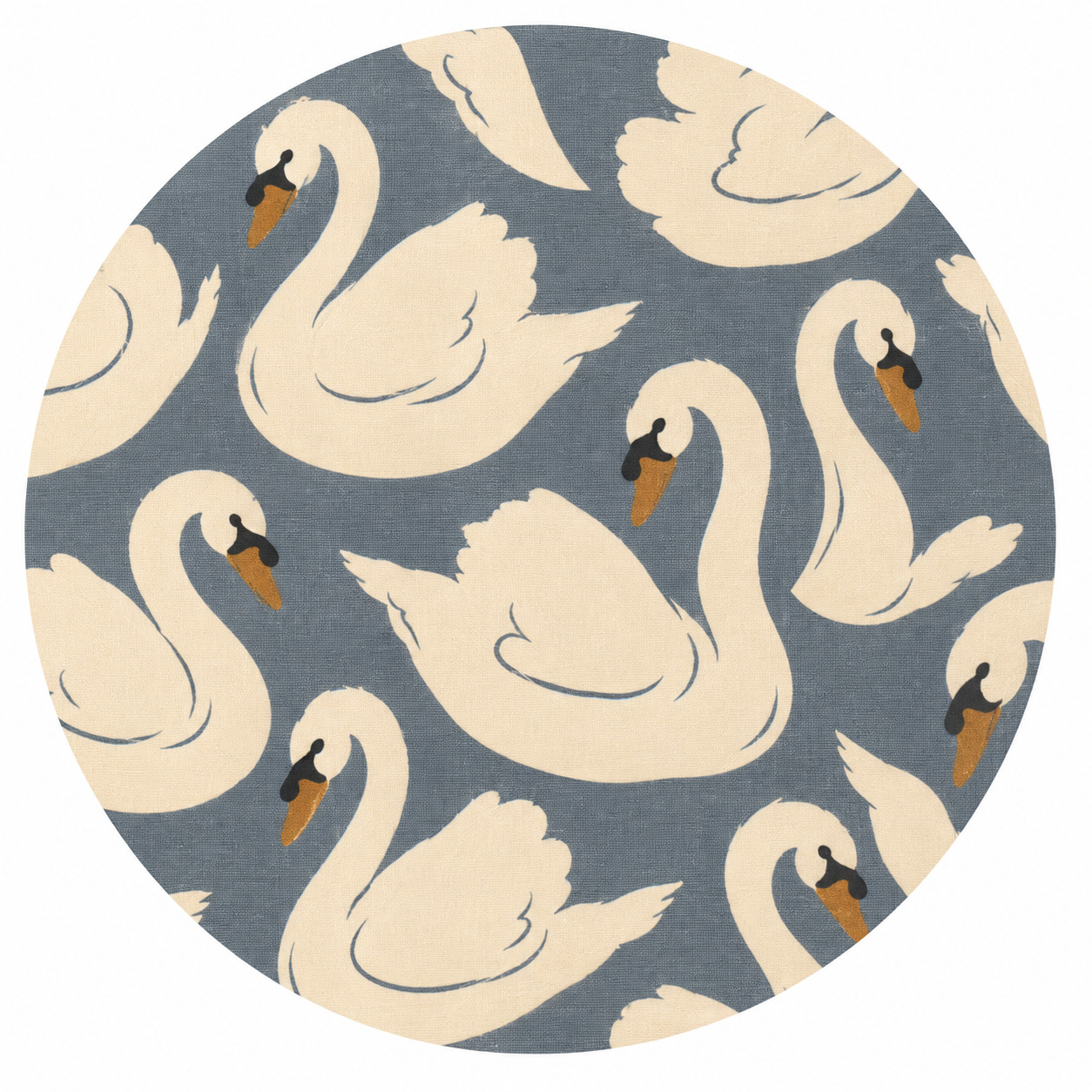 Swan