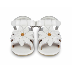 P23---donsje---TUTI FIELDSDAISY.JPG