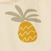Pineapples/cloud cream