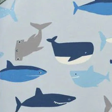 Shark